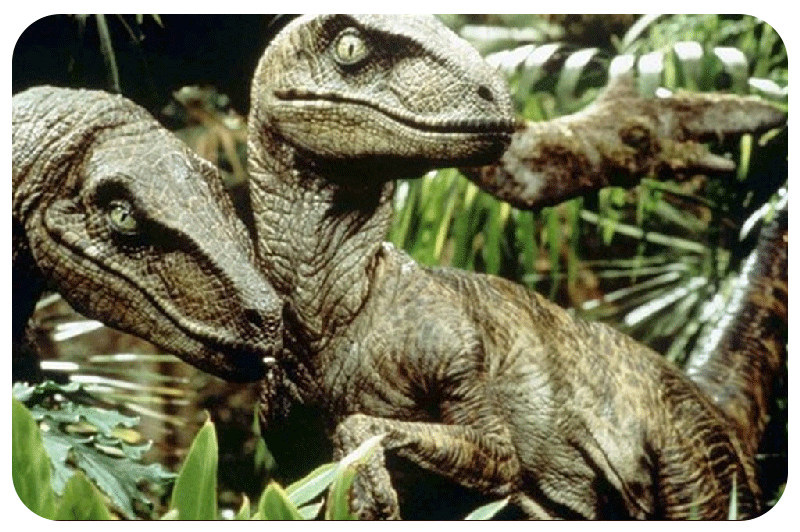 Velociraptor